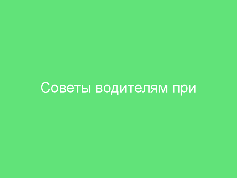  
                  Советы водителям при дожде: как обеспечить безопасность на мокром асфальте
                